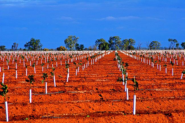 bourke nsw