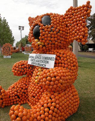 Griffith Nsw